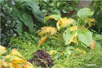 7134ee4e-IMG_0489 vrt3.jpg